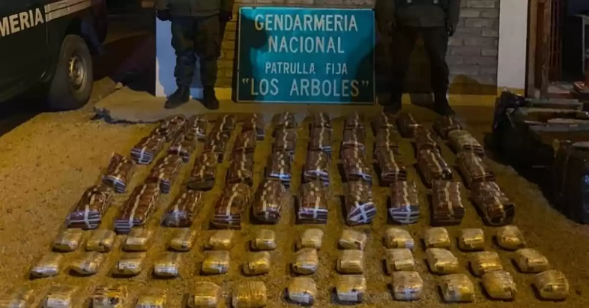 En un camión trasladaban 1.520 paquetes de tabaco hacia Chile