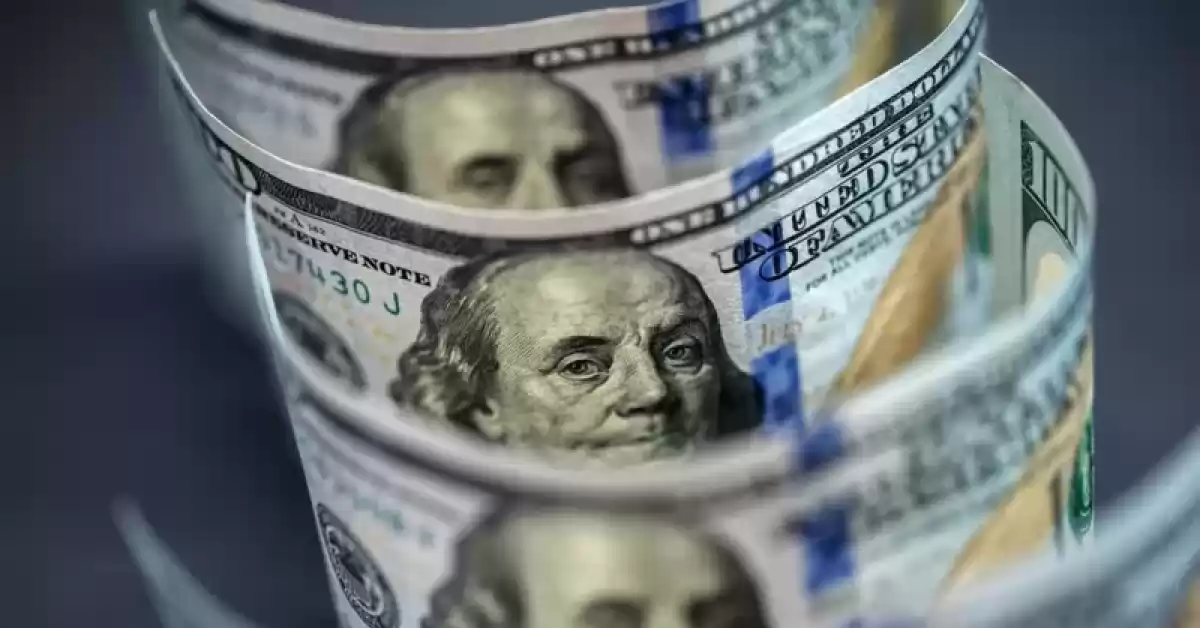 Un diputado ingresó un proyecto para que el dolar sea la moneda oficial del país