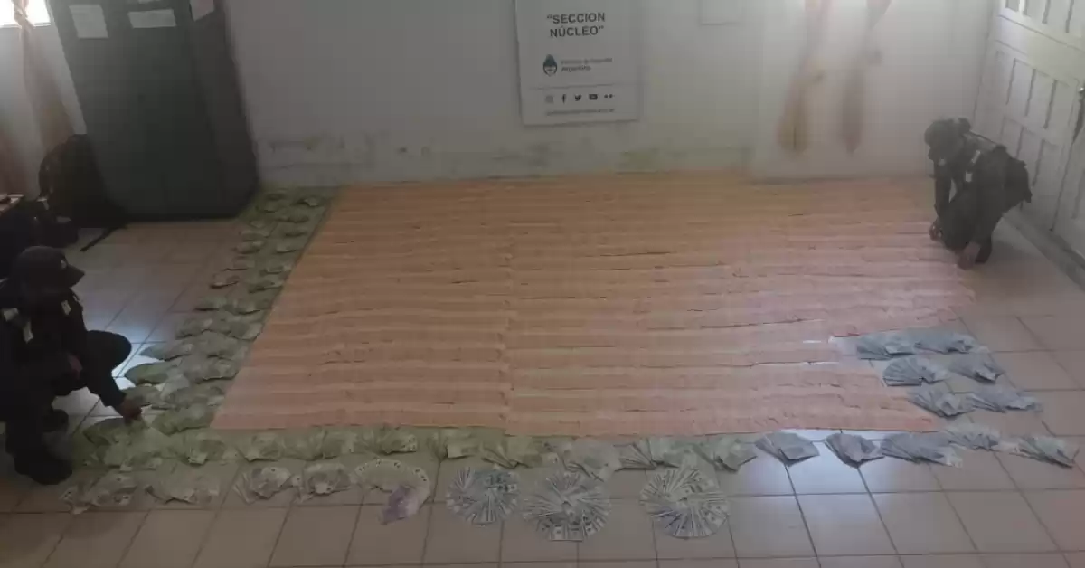 Circulaban con 30 mil dólares en una camioneta y más de 5 millones de pesos dentro de un neumático