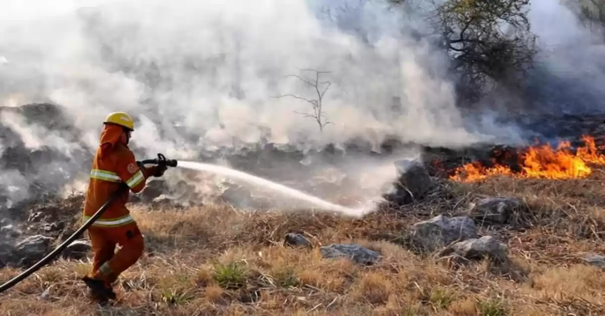 Más de 5000 hectáreas ardieron en los últimos incendios forestales de Córdoba