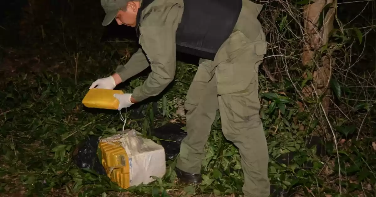 Gendarmería halló 119 kilos de marihuana entre la maleza