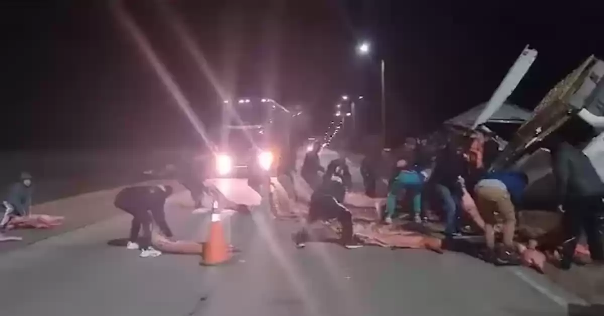 Volcó un camión con carne en San Luis y vecinos se llevaron la carga