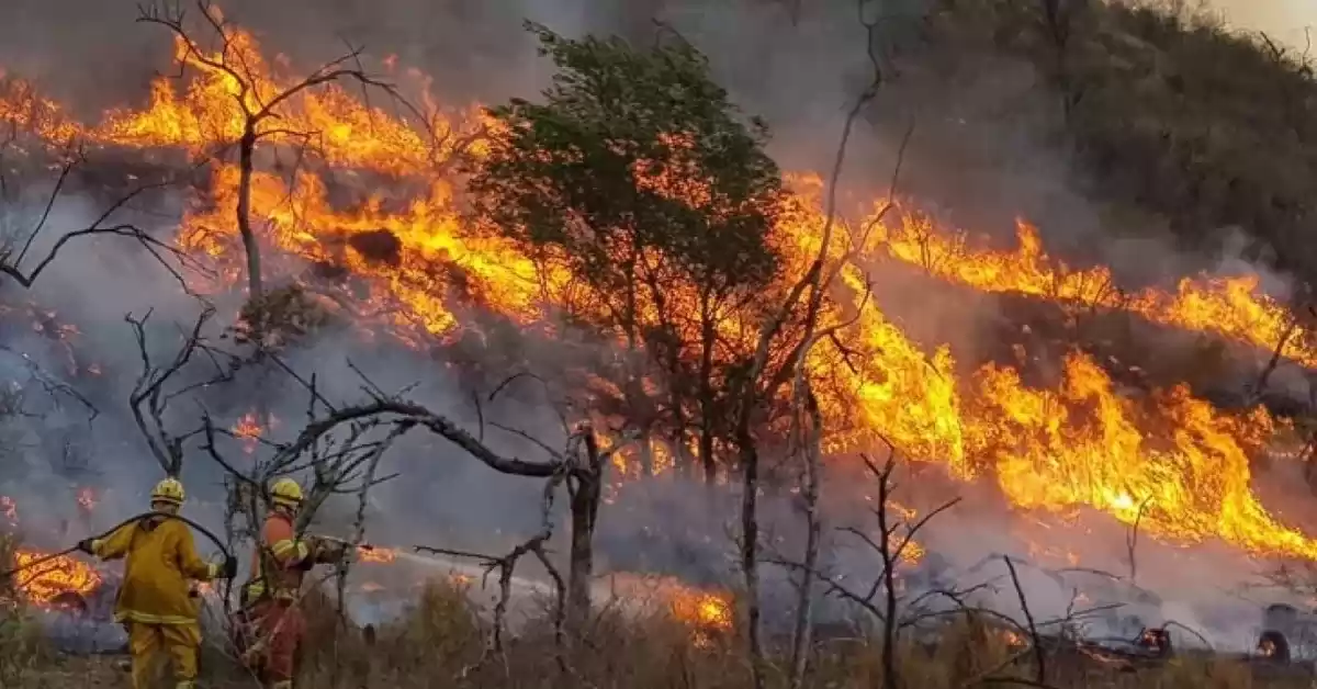 Incendios forestales: se registran focos activos Entre Ríos y San Luis