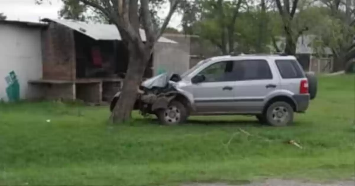 Robo y persecución en Villa La Ribera: se llevó pesos y dólares de un comercio y terminó chocando contra un árbol