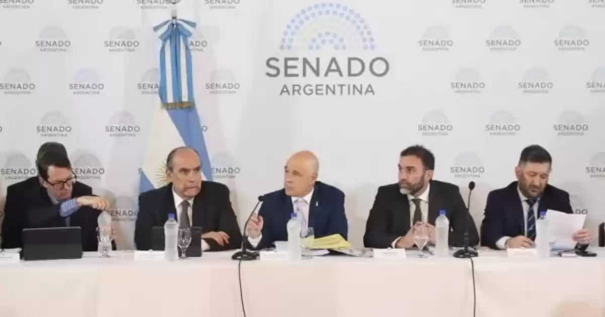 La Ley Bases y el paquete fiscal ya tienen dictamen en Senadores