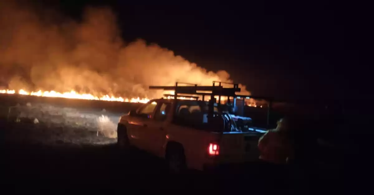 Se incendiaron 20 hectáreas en la Estancia Santa Rosa entre Roldán y Luis Palacios