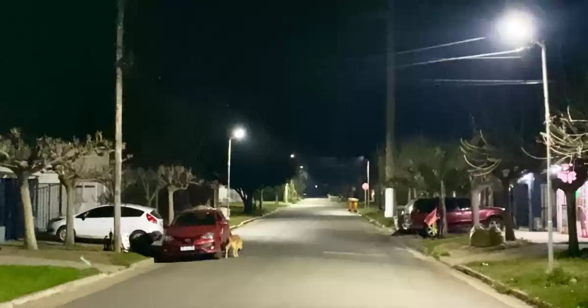 Beltrán sigue renovando el alumbrado público con más de 300 equipos LED