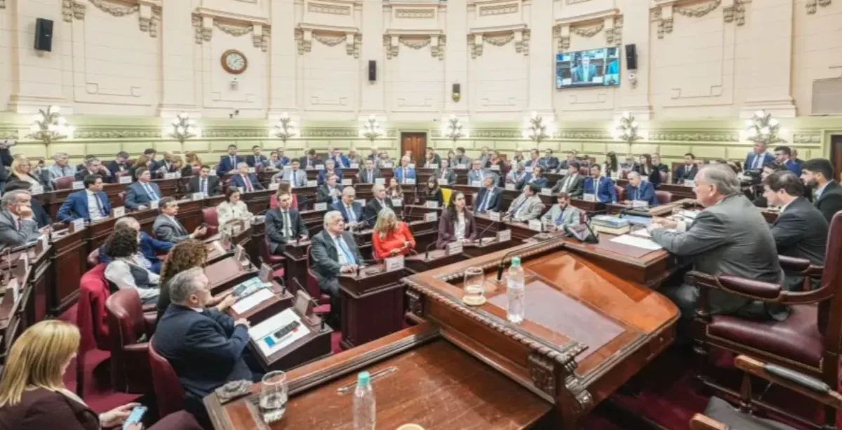 Aprobaron el reglamento general de la Convención Constituyente