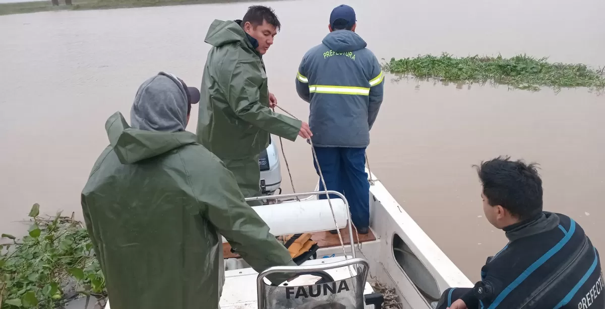 Encontraron dos cuerpos en el río Paraná y uno sería de uno de los pescadores desaparecidos