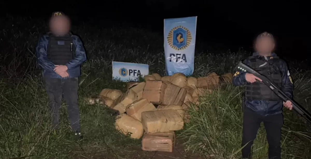 La PFA incautó más de una tonelada de marihuana en Misiones 