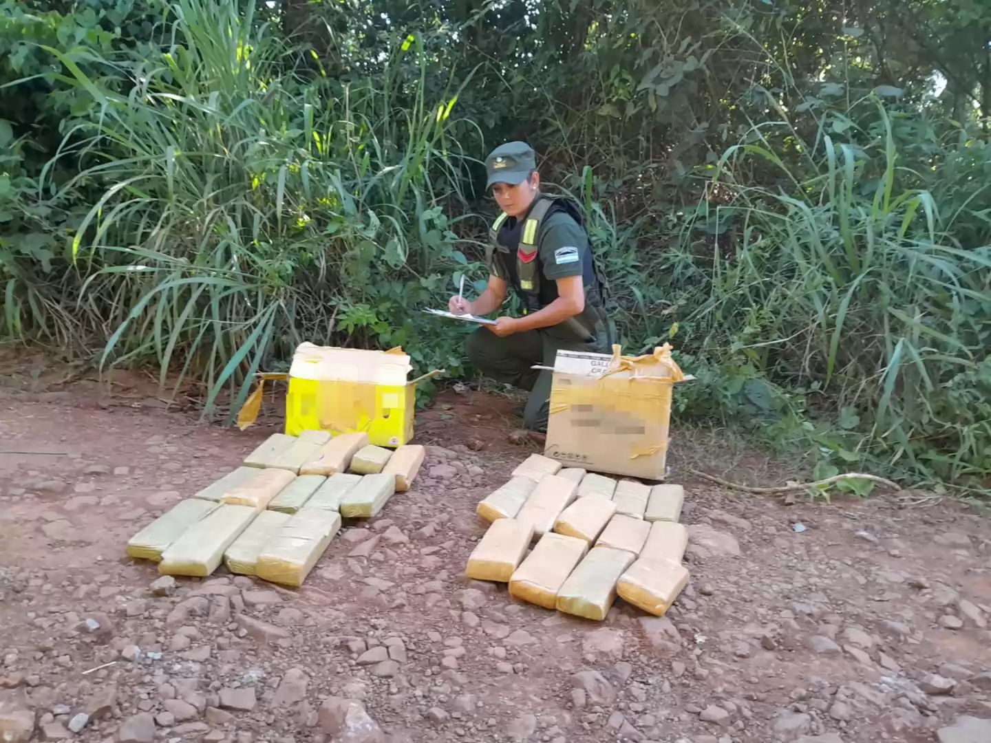 Misiones: Gendarmería incautó más de 320 kilos de marihuana abandonados en el monte