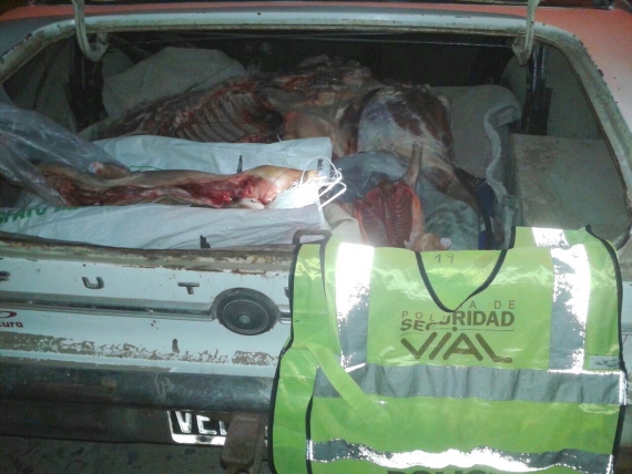 Secuestraron tres armas de fuego, cartuchos y animales muertos en un operativo en Margarita