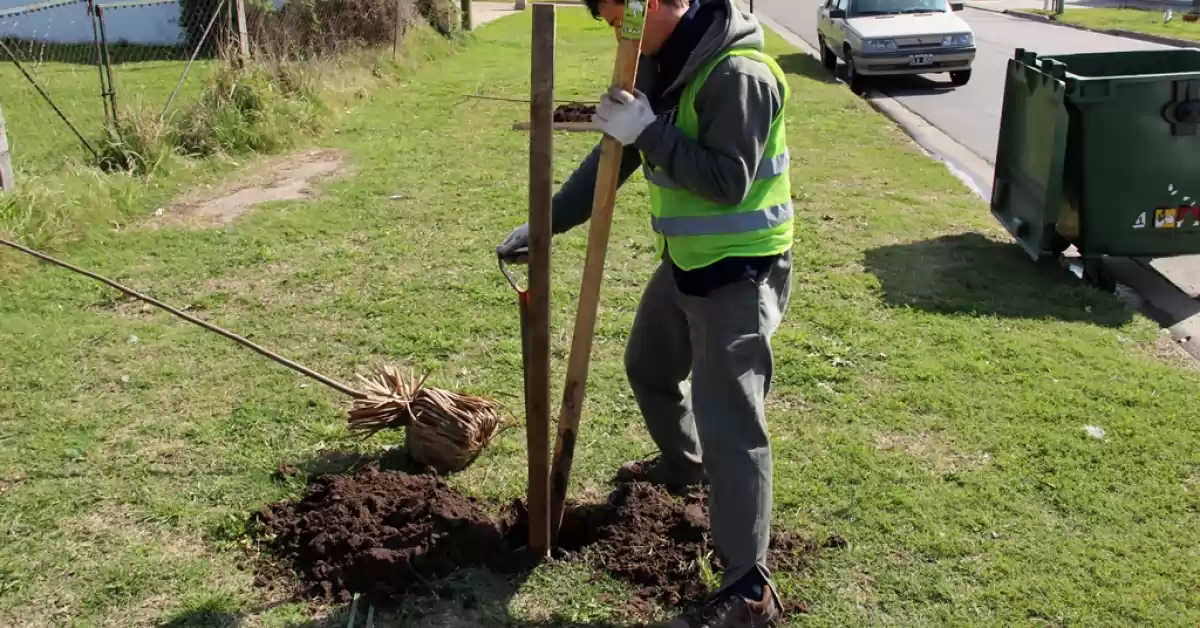 Abren la inscripción para la campaña de reforestación 2024 en San Lorenzo