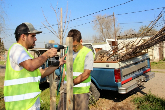 El municipio sanlorencino plantó mil árboles en 5 barrios de la ciudad