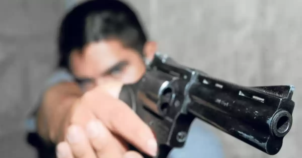 Patricia Bullrich propuso un plan de regularización de armas de fuego en civiles 