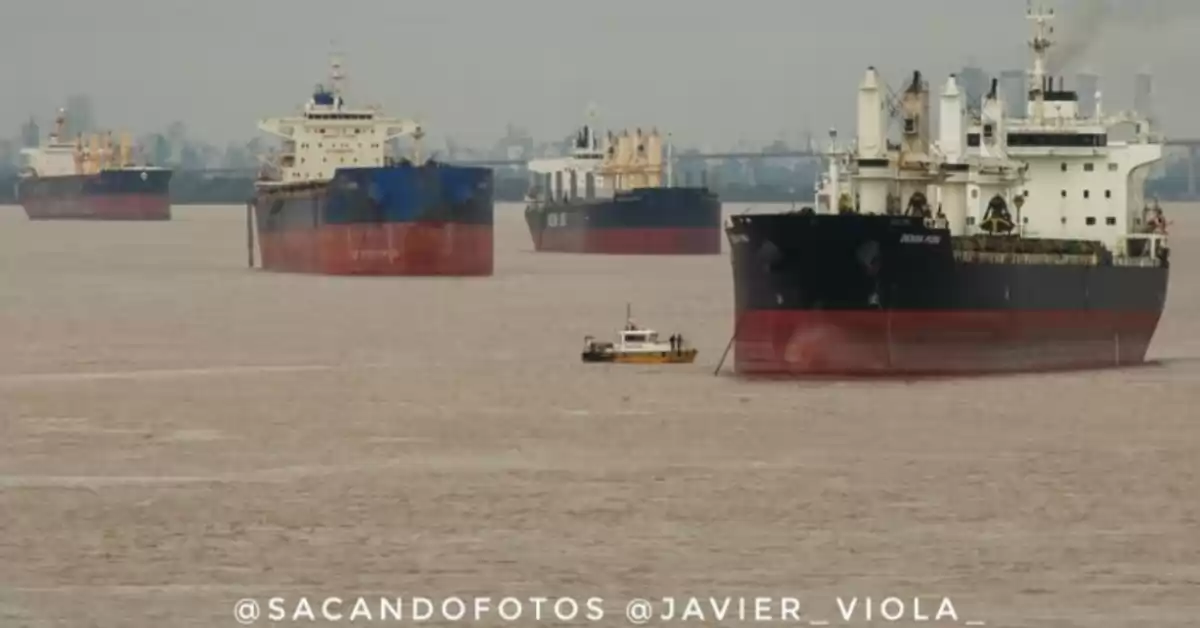 Hidrovía: Milei busca eliminar el Ecovina y agilizar la concesión del dragado de la vía navegable troncal