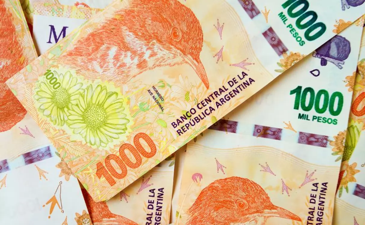 El economista Ricardo López Murphy propuso emitir billetes de $10.000 y $20.000