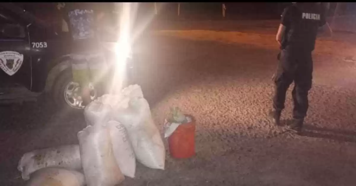 Dos boquilleros detenidos en Puerto General San Martín 