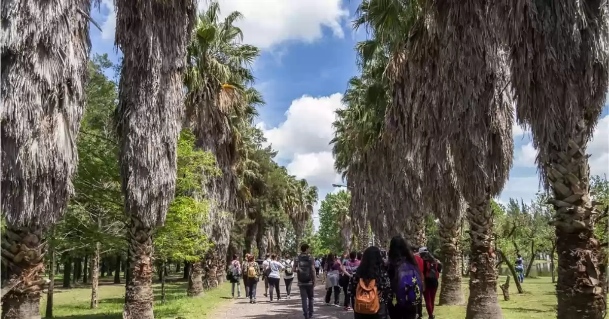 Rosario: El sábado vuelven los avistajes de aves en el Bosque de los Constituyentes