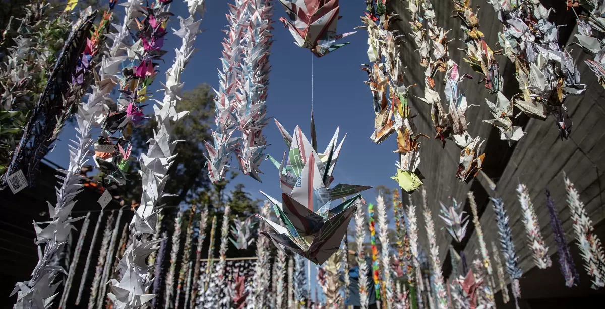 Colocaron en Rosario “Mil Grullas por la Paz”, una tradición que renueva su mensaje cada 6 de agosto