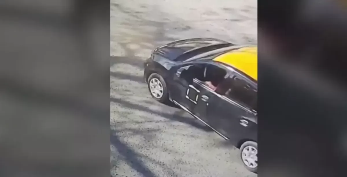 Indignación en Villa Gobernador Gálvez: un taxista atropelló y mató a “Negrito”, el perro querido del barrio