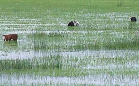 Piden declarar en emergencia por inundación a distritos del departamento Castellanos