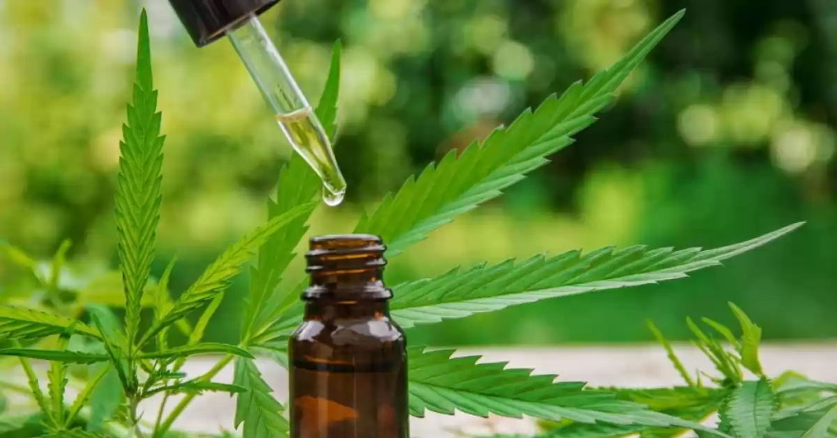Santa Fe tendrá su cultivo experimental de cannabis medicinal