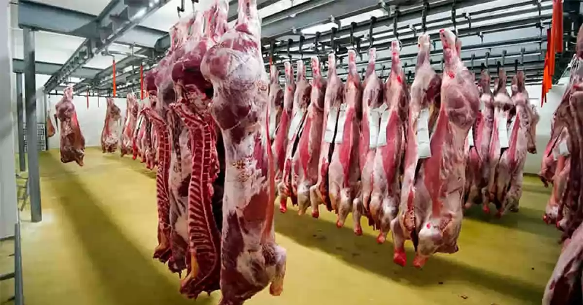 Argentina busca abrir el mercado para la exportación de carne bovina con hueso a Israel