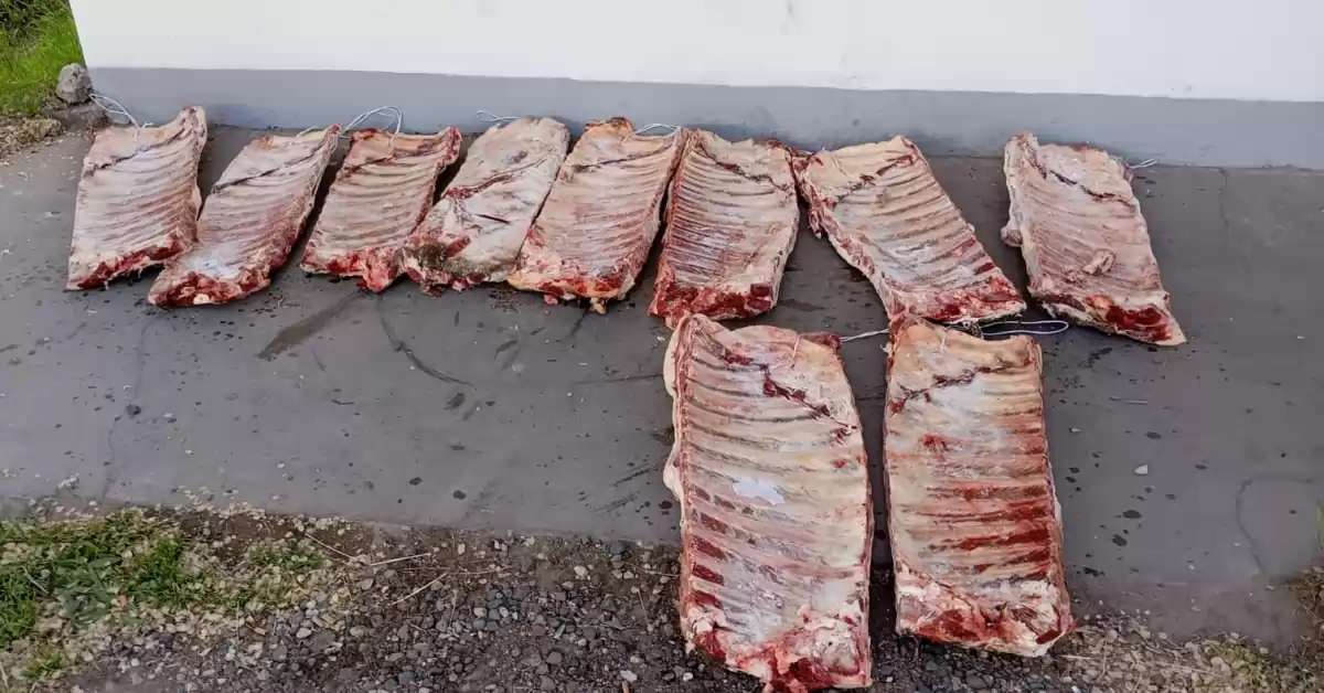 Senasa decomisó más de 900 kg de carne transportada sin cadena de frío