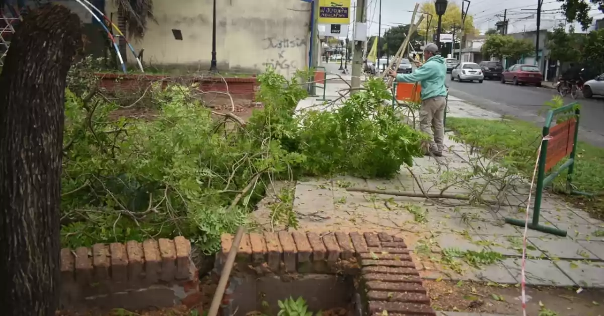 Comienzan a trabajar en una nueva etapa del Centro Comercial a Cielo Abierto en Puerto San Martín