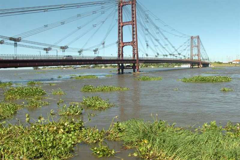 Leve descenso de los ríos Paraná y Salado en Santa Fe