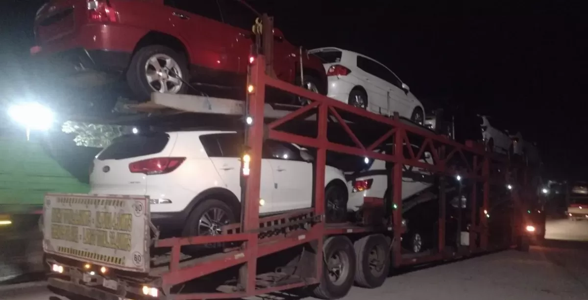 Secuestran 172 kilos de hojas de coca ocultas en autos transportados por un camión paraguayo