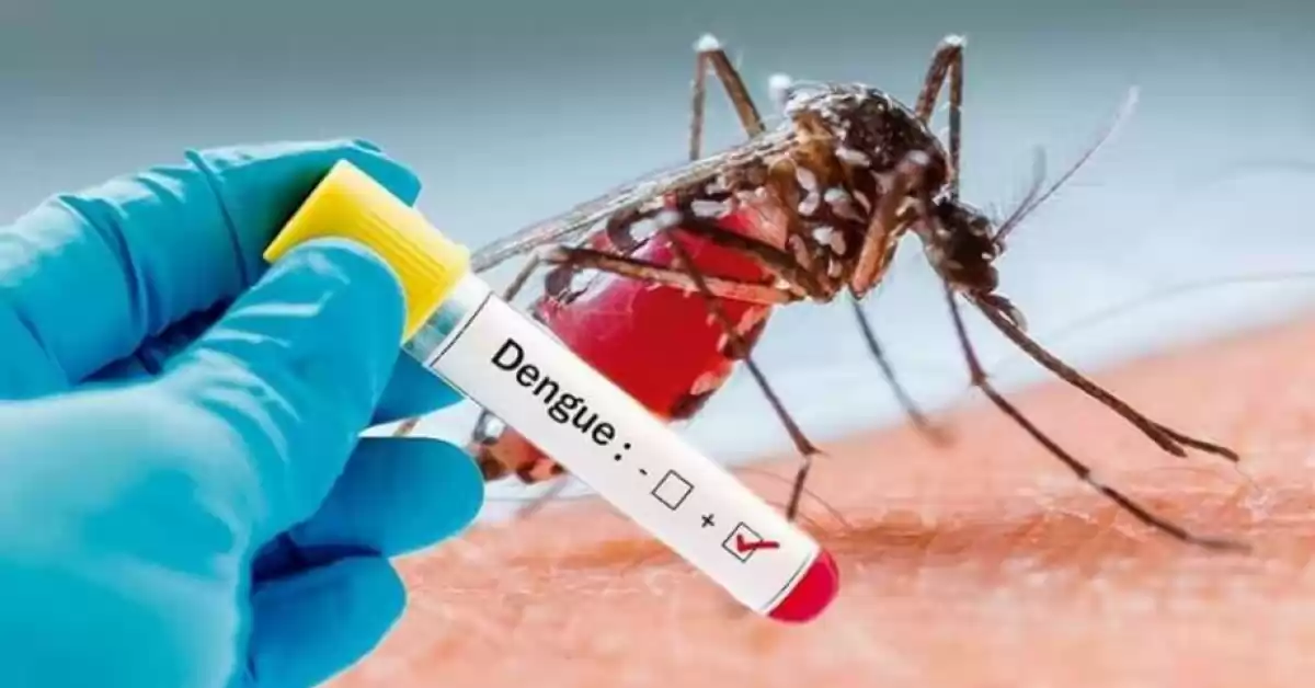 Lanzaron la campaña nacional de abordaje integral del dengue