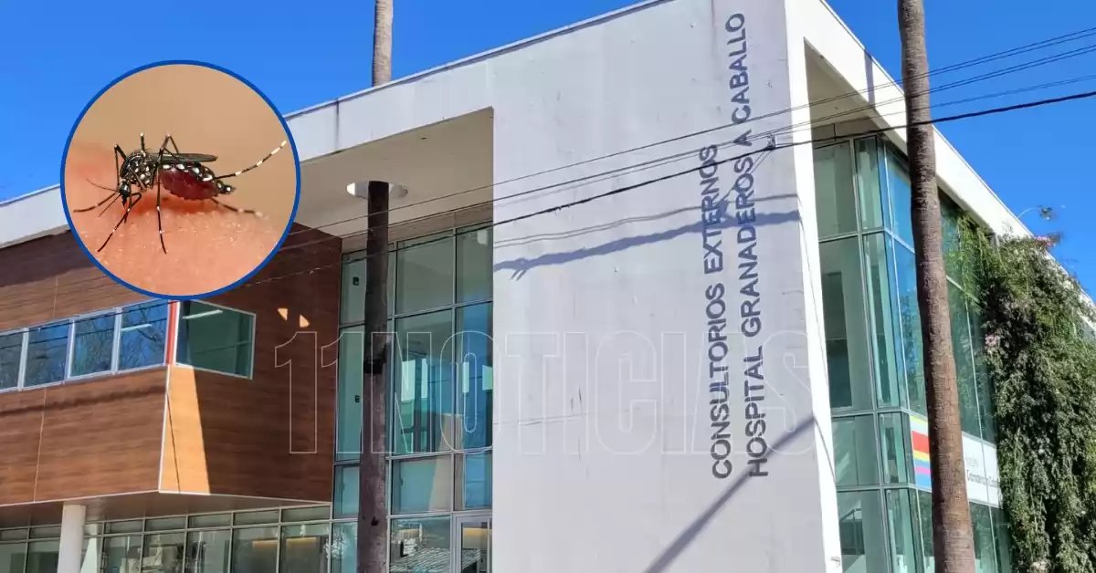 La provincia confirmó circulación viral de Dengue en la región