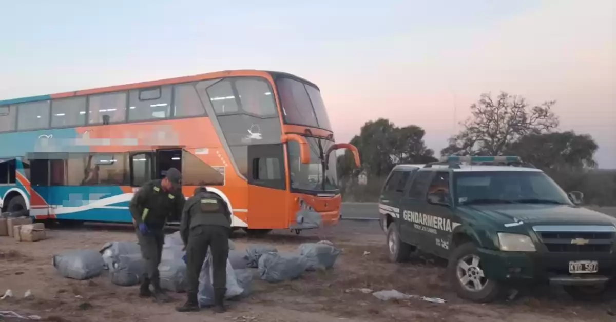 Descubrieron 240 kilos de hojas de coca en colectivo de un tour de compras