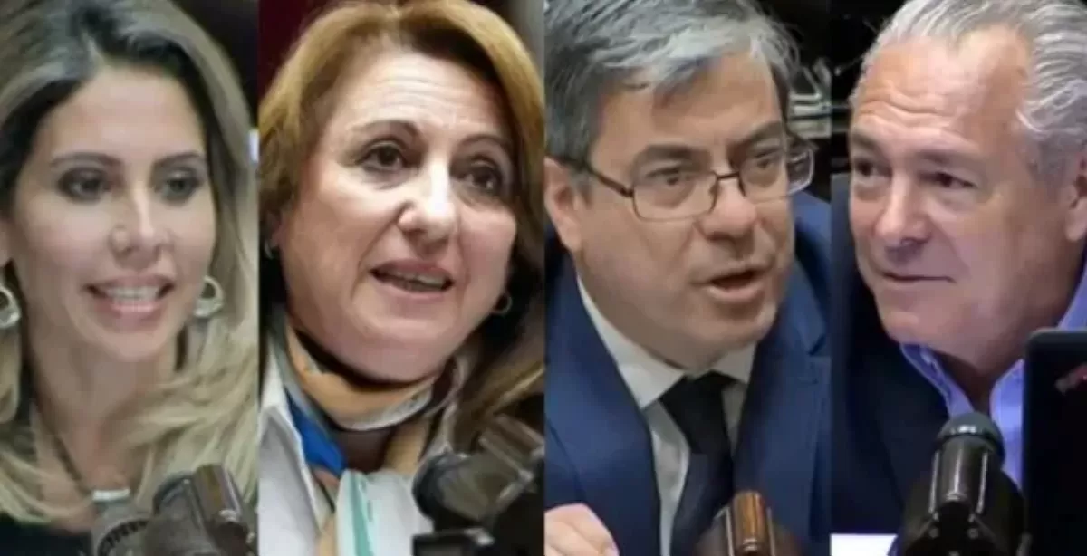 Así votaron los diputados santafesinos en la aprobación del DNU de Milei para un nuevo acuerdo con el FMI