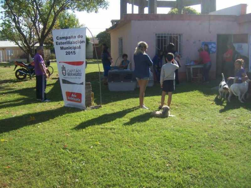 Tercera jornada de esterilización de mascotas en Bermúdez