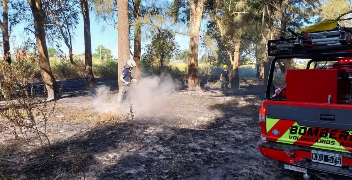 Bomberos de Bermúdez y Rosario combatieron un incendio en el Bosque de los Constituyentes 