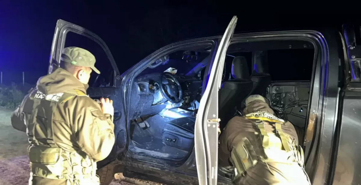 Chaco: Gendarmería secuestró más de 29 kilos de marihuana ocultos entre la maleza y detuvo a un sospechoso