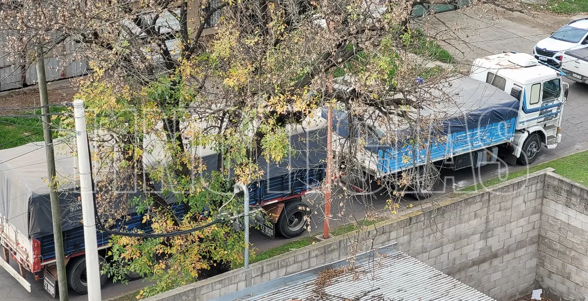 Caos de tránsito en Puerto San Martín por obras en el puente de Ruta 11 y la falta de señalización 