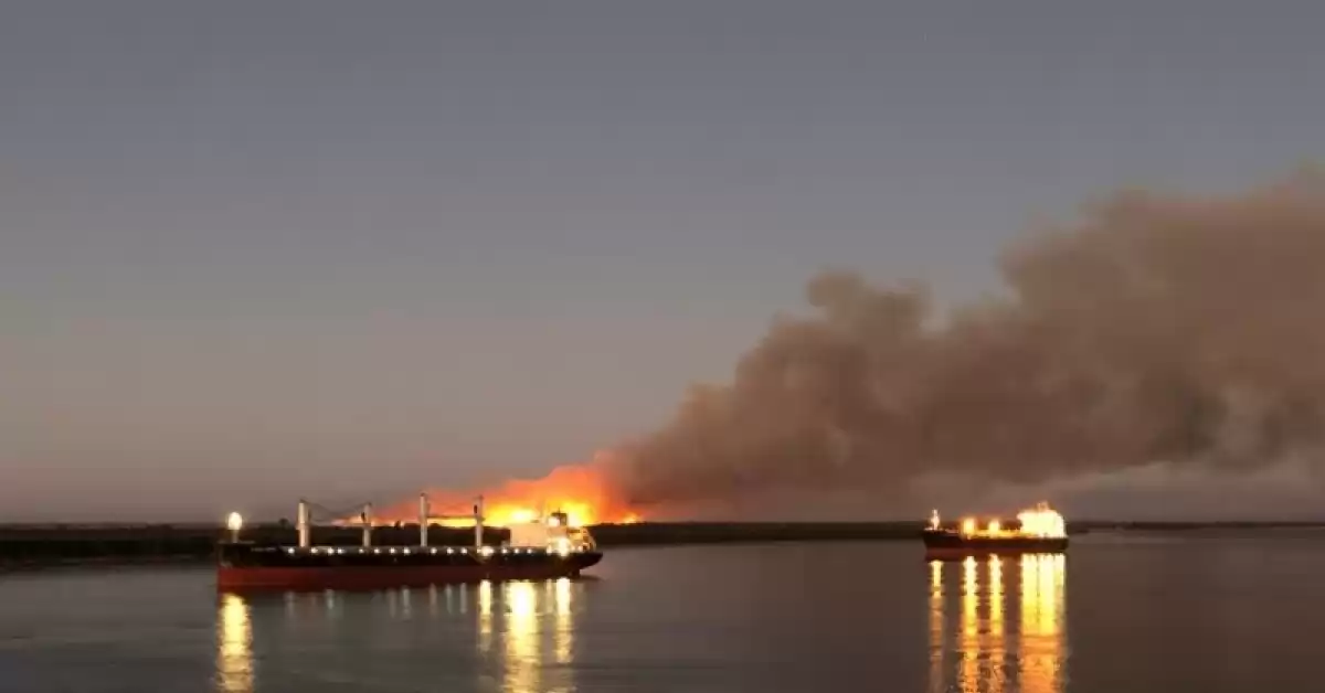 Quemas en las islas: en lo que va de agosto hubo más incendios que durante los primeros 7 meses del año