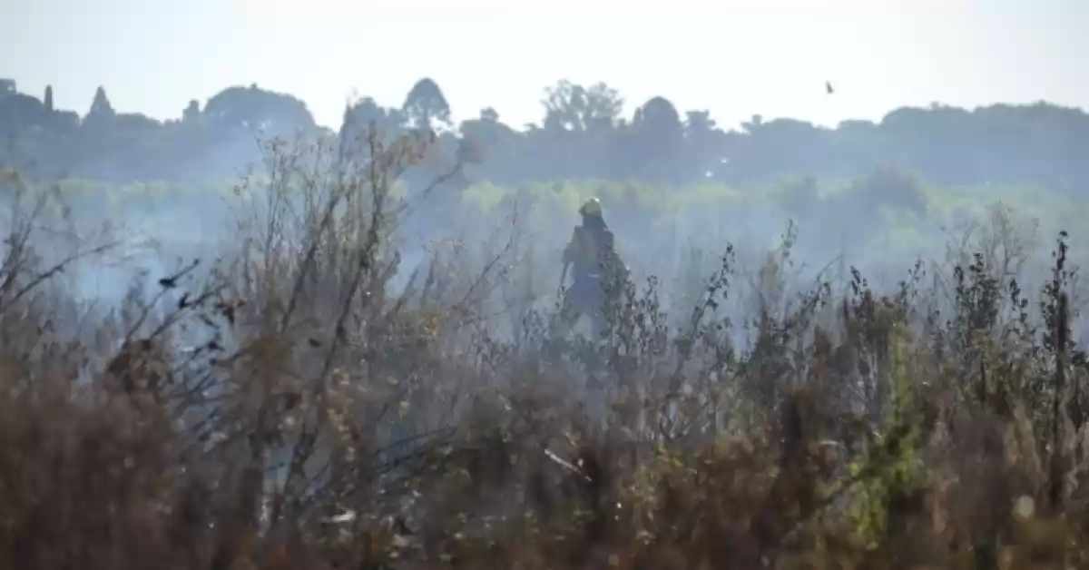Controlan el incendio en la Isla de los Mástiles, pero surgen nuevos focos en la ruta a Victoria