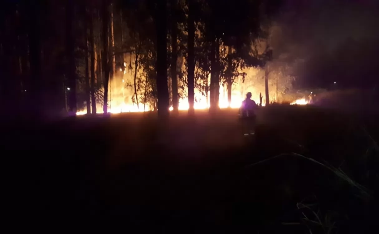 Un incendio en el monte de Celulosa causó temor a los vecinos de El Espinillo