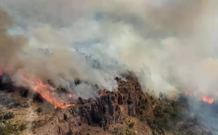 La lluvia disminuyó la intensidad del fuego en el Parque Nacional Los Alerces 