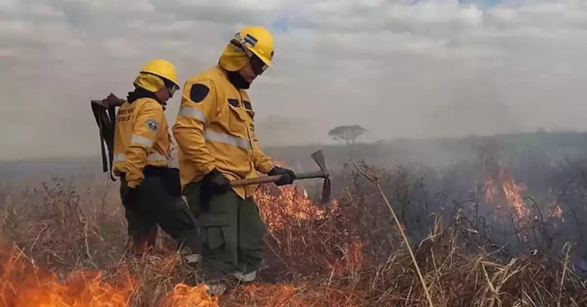 Río Negro, Corrientes, San Luis, Catamarca y Misiones registran focos de incendios forestales