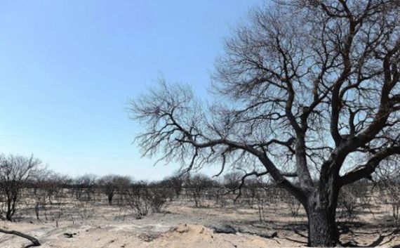 Tres nuevos focos de incendio en La Pampa con más de 300 mil hectáreas afectadas