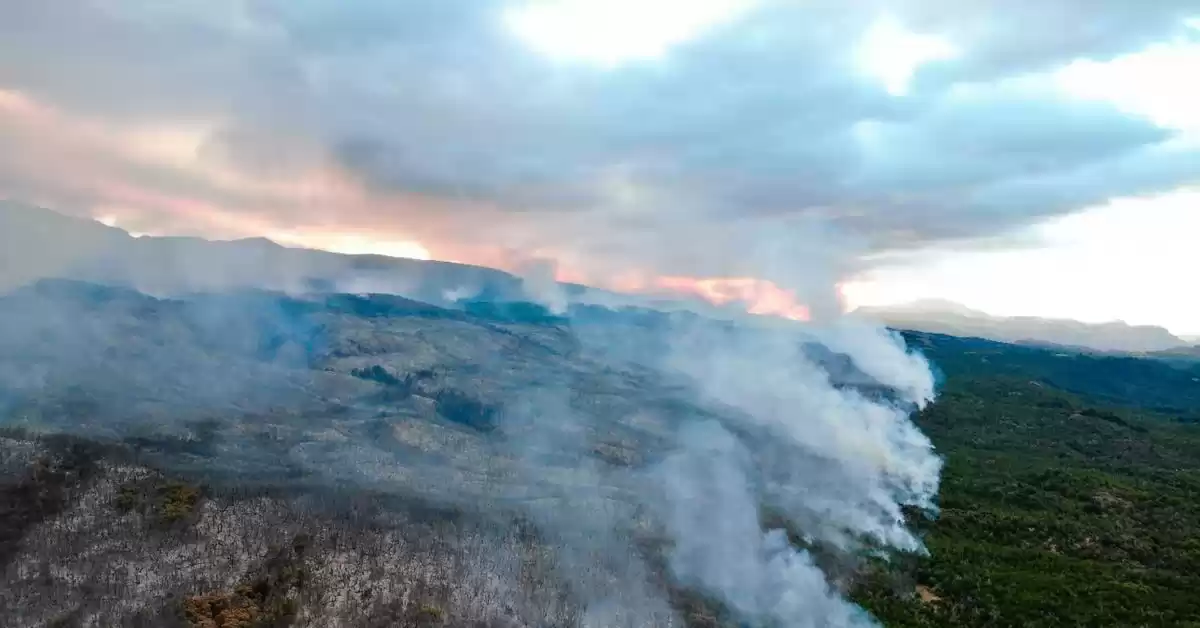 Lograron controlar sectores del incendio en el parque nacional Los Alerces