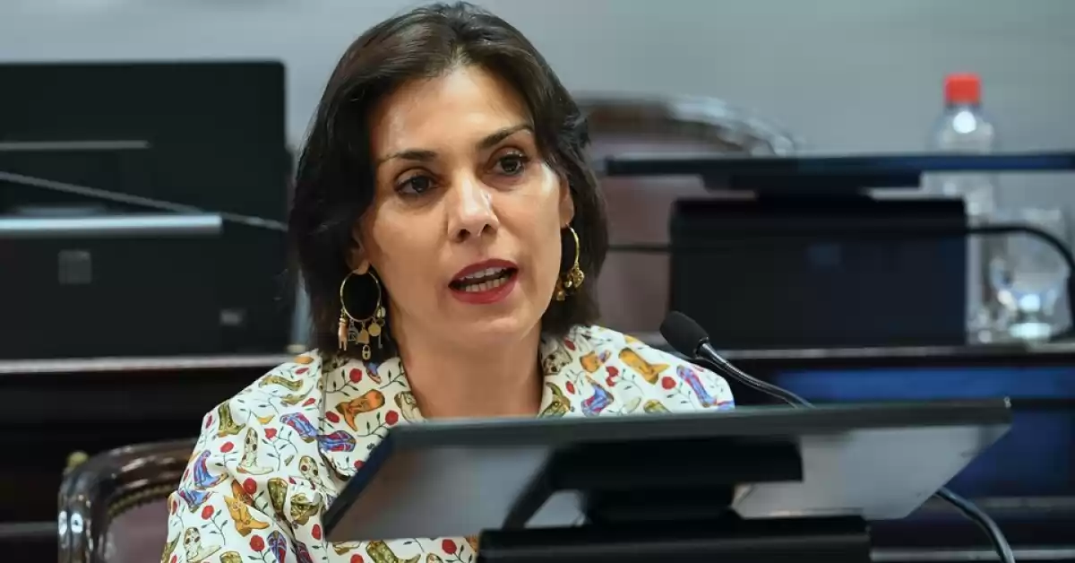 Cambió voto por millas: Una senadora sería embajada en París a cambio de votar a favor de la Ley Bases 