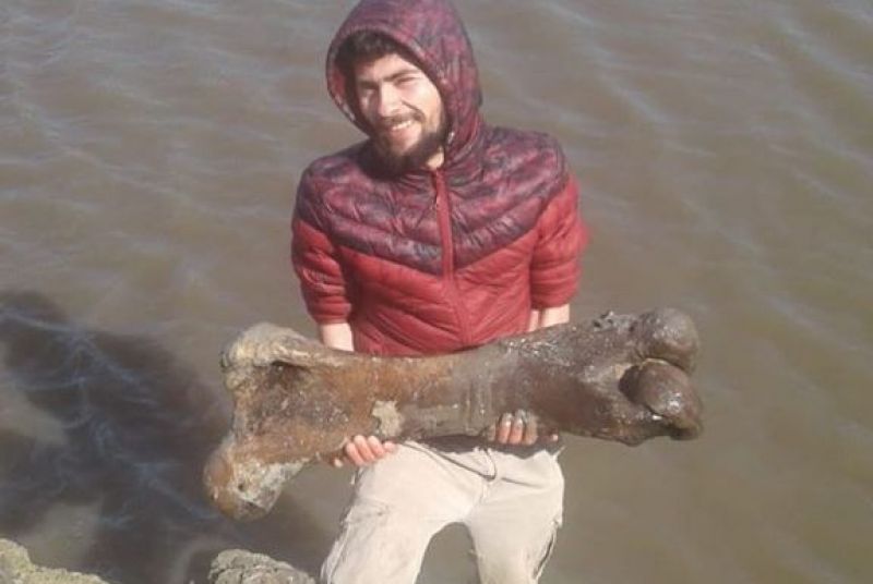 Dos pescadores hallaron fósiles de un mastodonte a orillas del río Salado