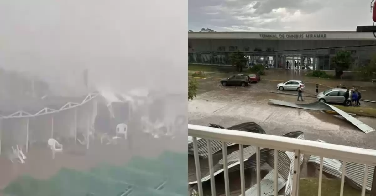Murió un joven por la caída de un árbol durante el temporal de viento y granizo afectó a Miramar
